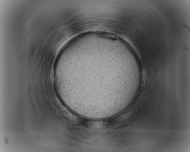 X0000100860791200807111252