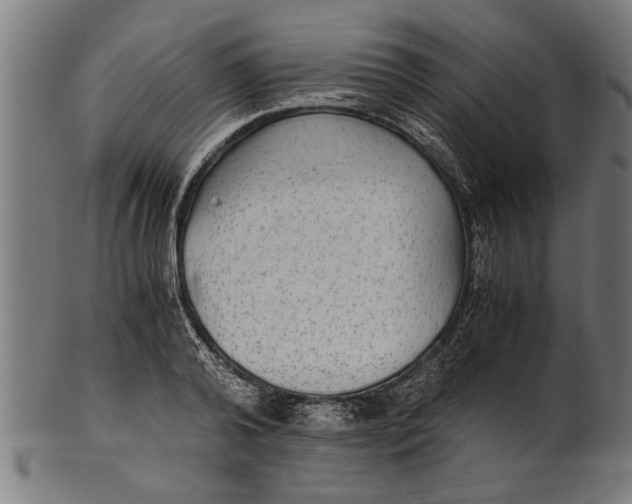 X0000100860792200807111252