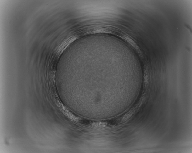 X0000100860793200807111252