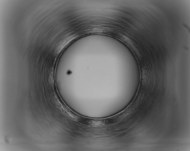 X0000100860794200807111251