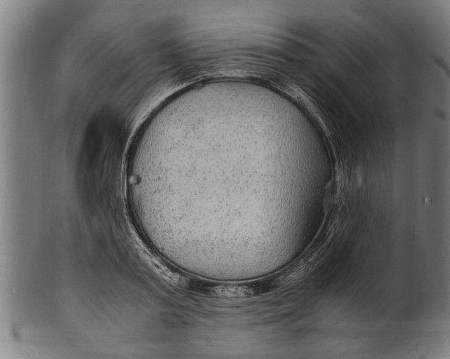 X0000100860795200807111251