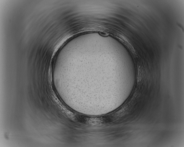 X0000100860796200807111251