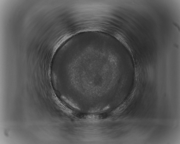 X0000100860797200807111251