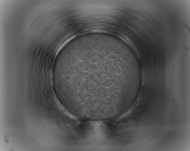 X0000100860798200807111251