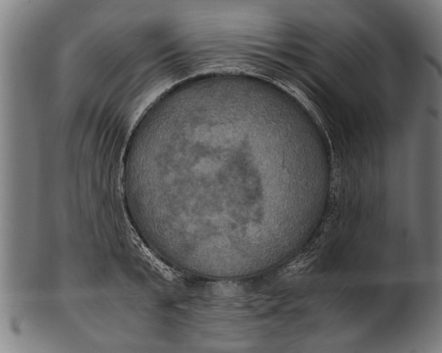 X0000100860799200807111251