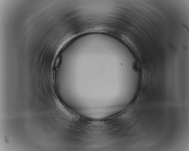 X0000100860800200807111251