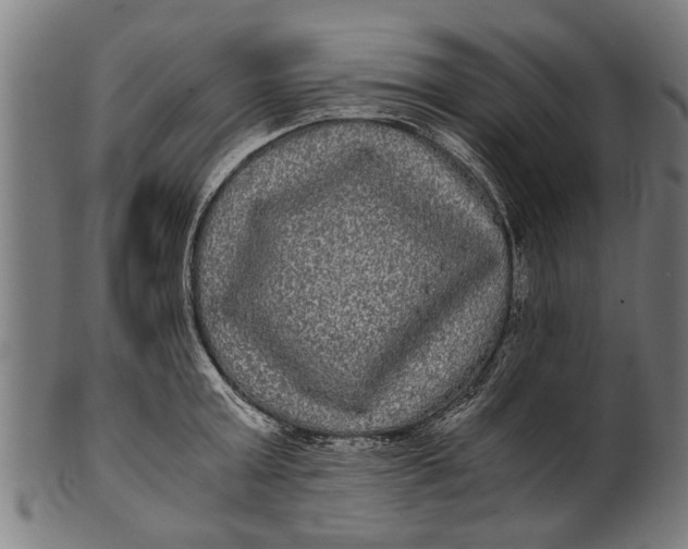 X0000100860803200807111251