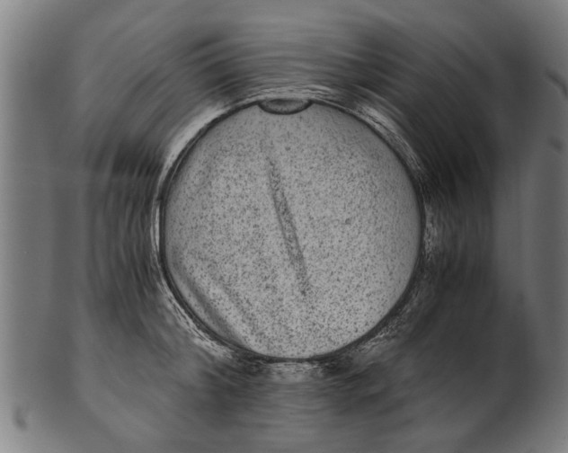 X0000100860804200807111251