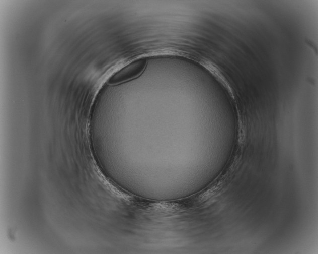 X0000100860805200807111251