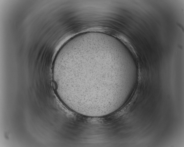 X0000100860808200807111251