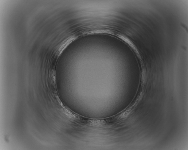 X0000100860809200807111251