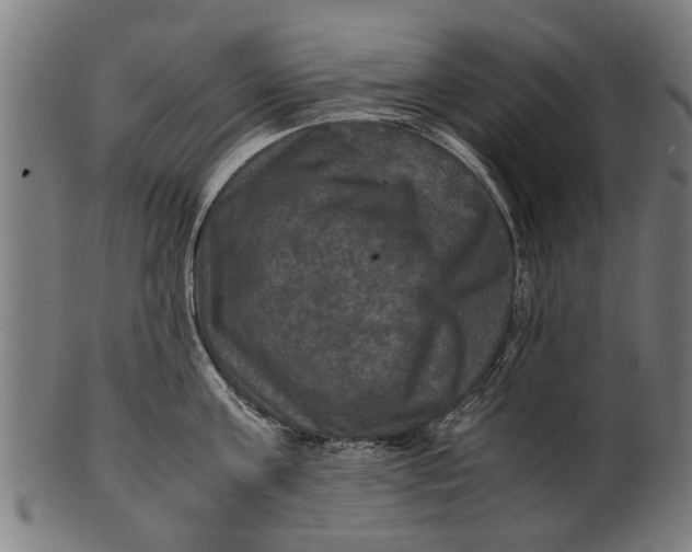 X0000100860811200807111251