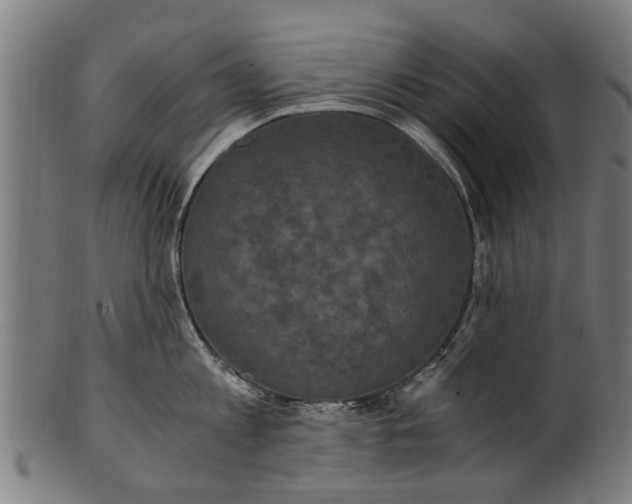 X0000100860813200807111251