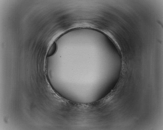 X0000100860815200807111251