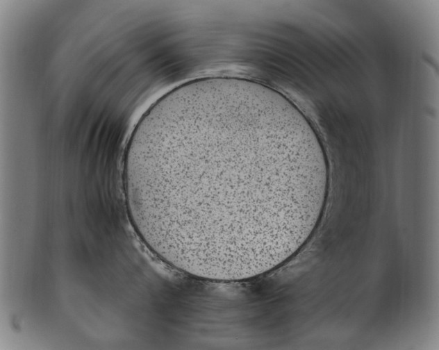 X0000100860816200807111251