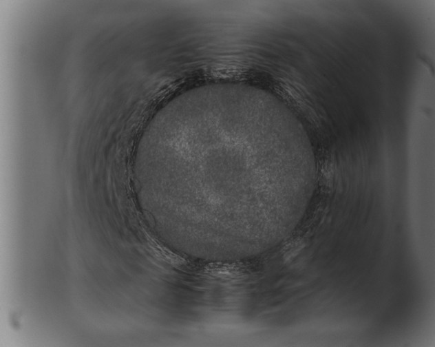 X0000100860817200807111250