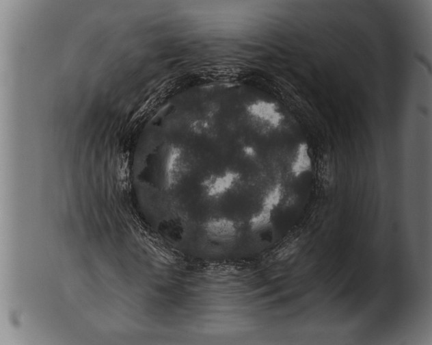 X0000100860818200807111250