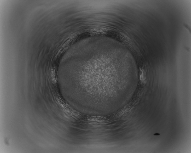 X0000100860819200807111250