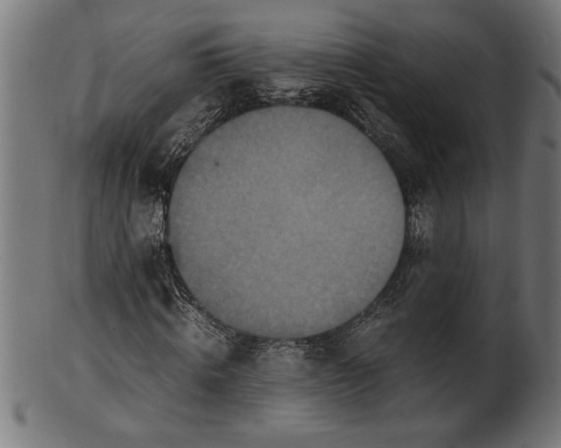 X0000100860820200807111250