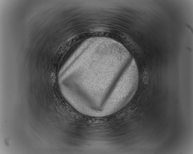 X0000100860821200807111250