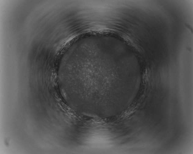 X0000100860822200807111250