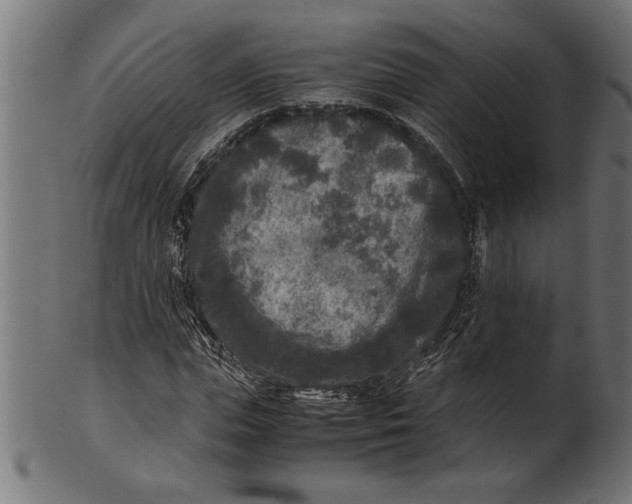 X0000100860823200807111250