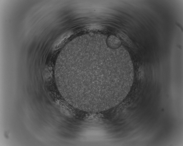 X0000100860824200807111250