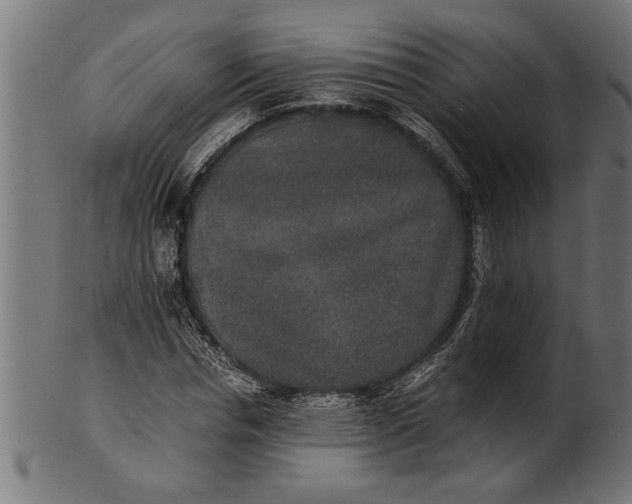 X0000100860826200807111250