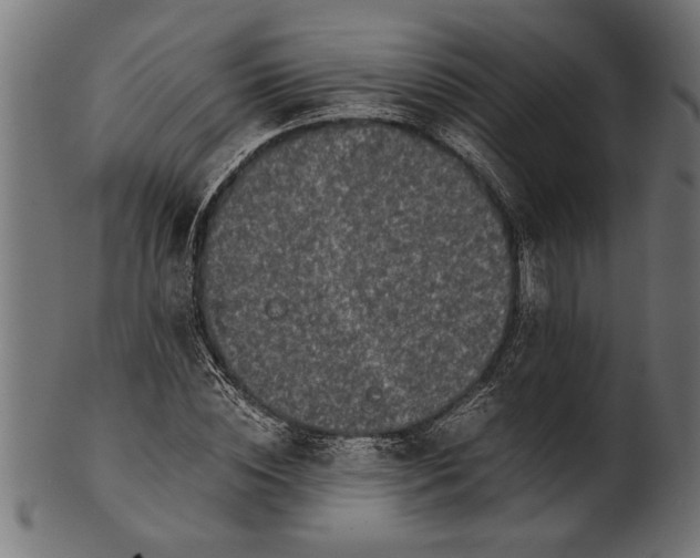 X0000100860828200807111250