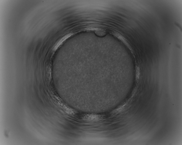 X0000100860829200807111251