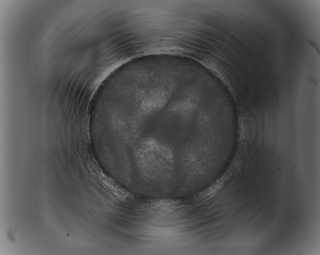 X0000100860830200807111251