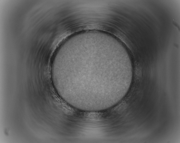 X0000100860832200807111251