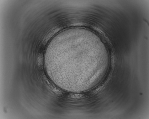 X0000100860833200807111251