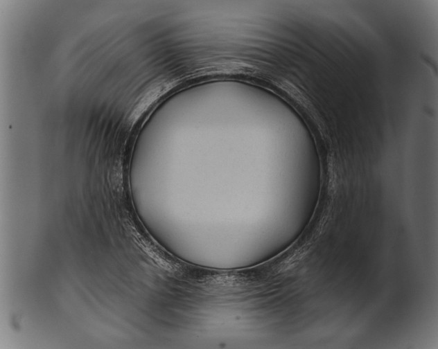 X0000100860834200807111251