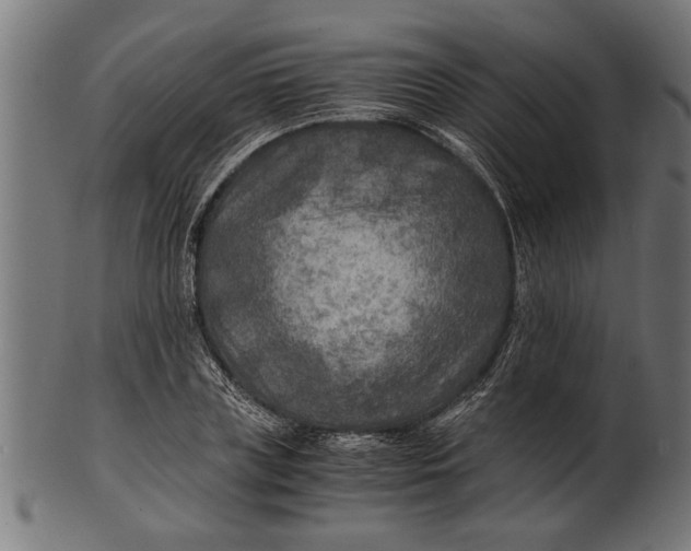 X0000100860835200807111251