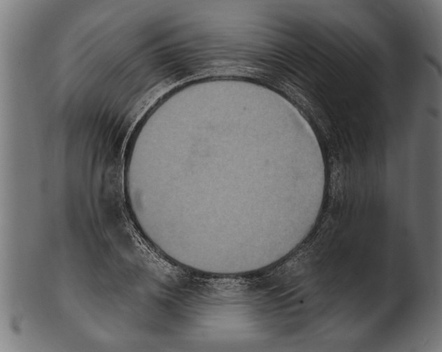 X0000100860836200807111251