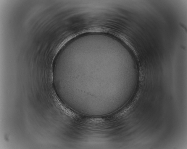 X0000100860837200807111251