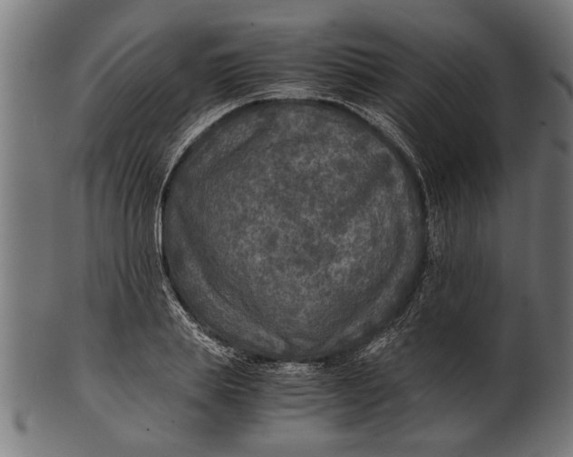 X0000100860839200807111251