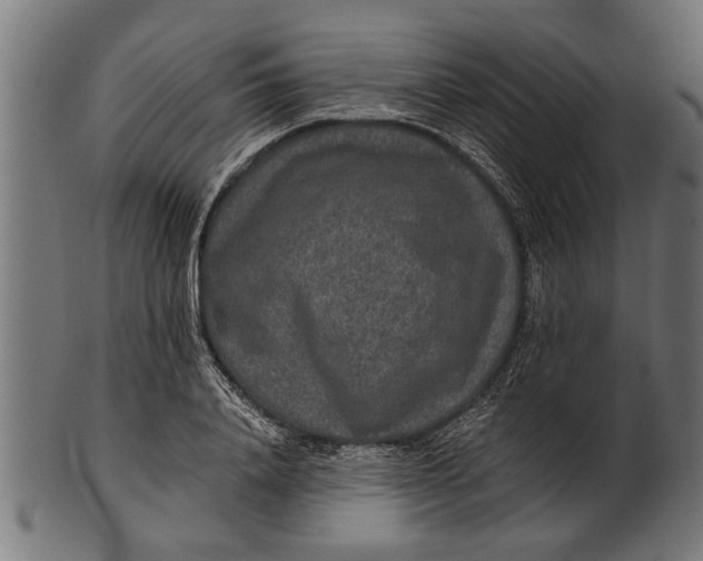 X0000100860840200807111251