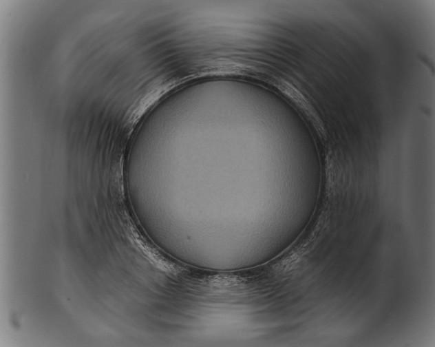 X0000100860842200807111251