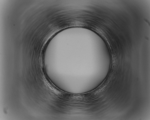 X0000100860843200807111251