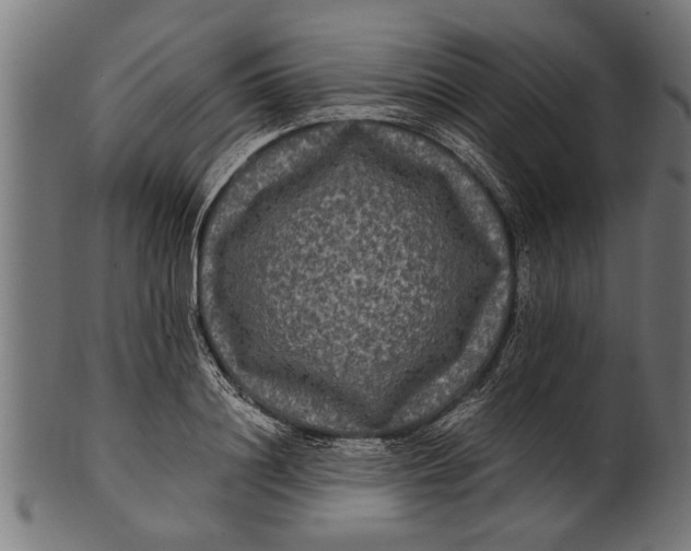 X0000100860844200807111251