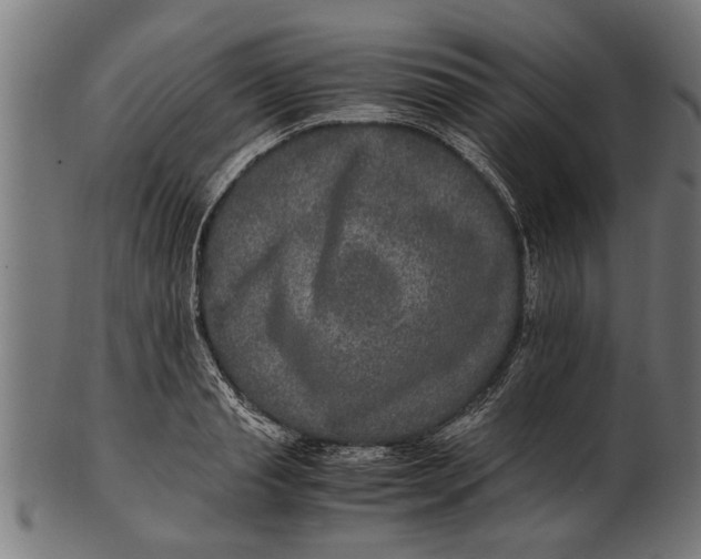 X0000100860845200807111251