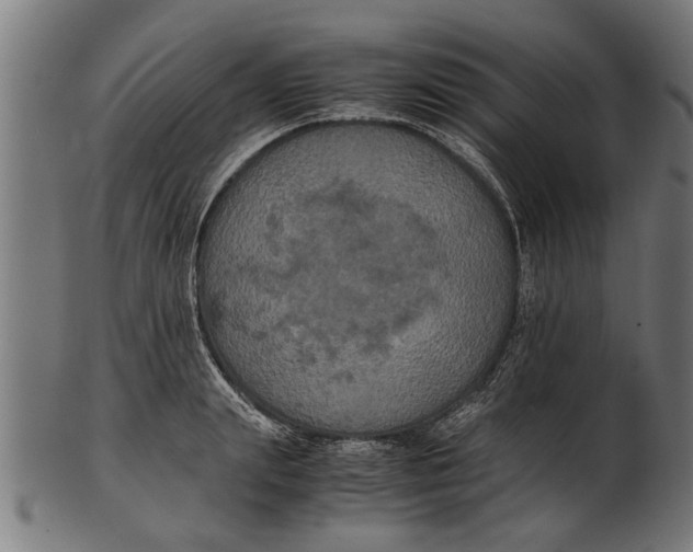 X0000100860847200807111251