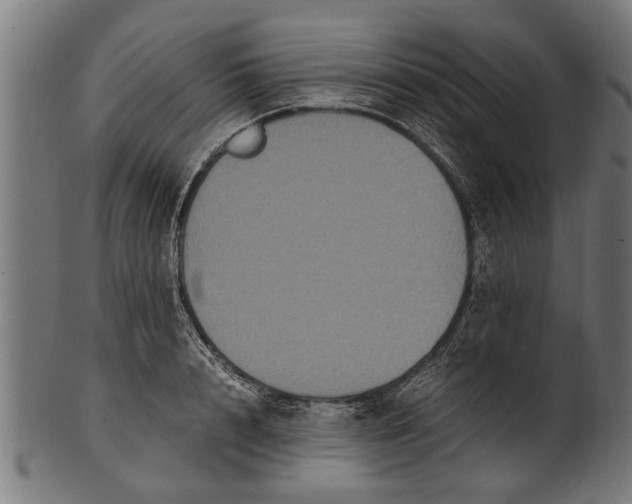 X0000100860848200807111251