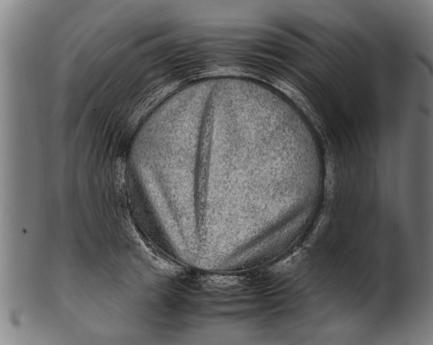 X0000100860849200807111251