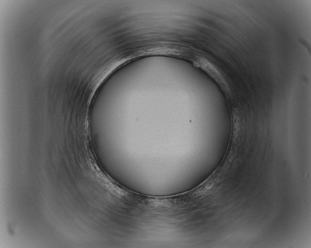 X0000100860852200807111251