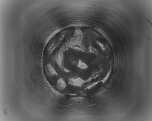 X0000100860853200807111251