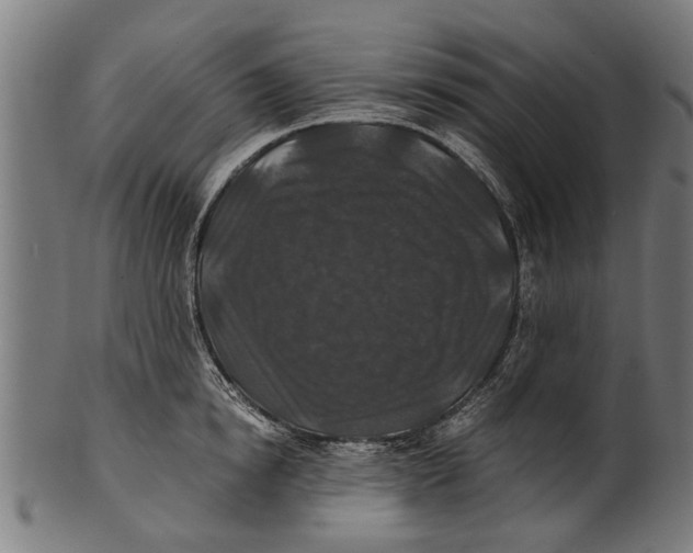 X0000100860854200807111251