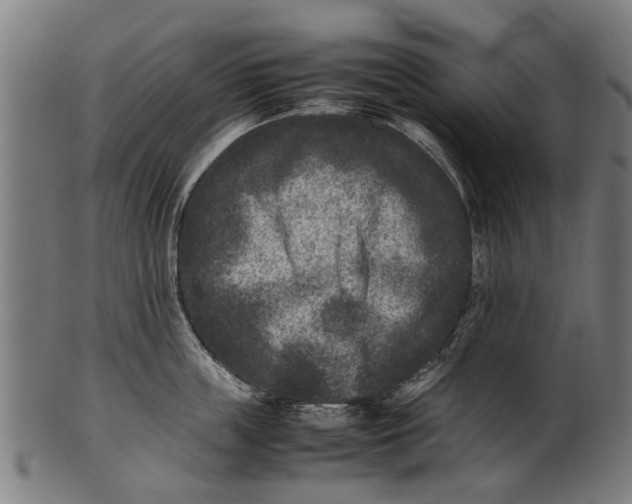 X0000100860859200807111251